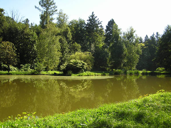 Zámecký rybník 4